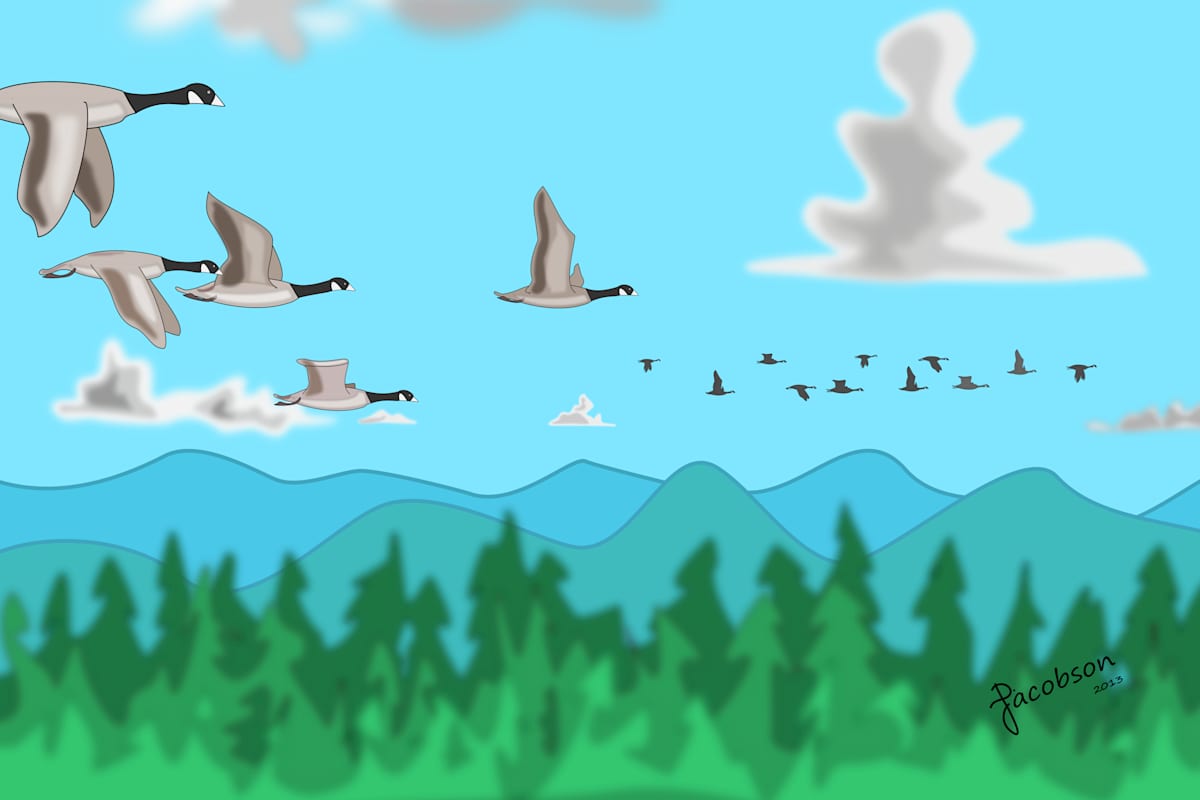 On the Wing by David Jacobson  Image: A couple flocks of geese flying south for the winter.