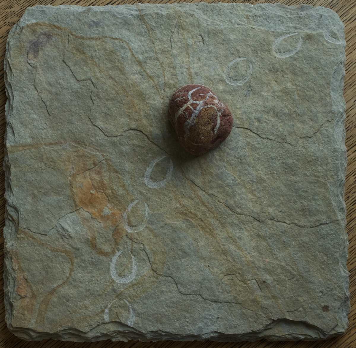 Critical Link by Arminée Chahbazian, Image 2.