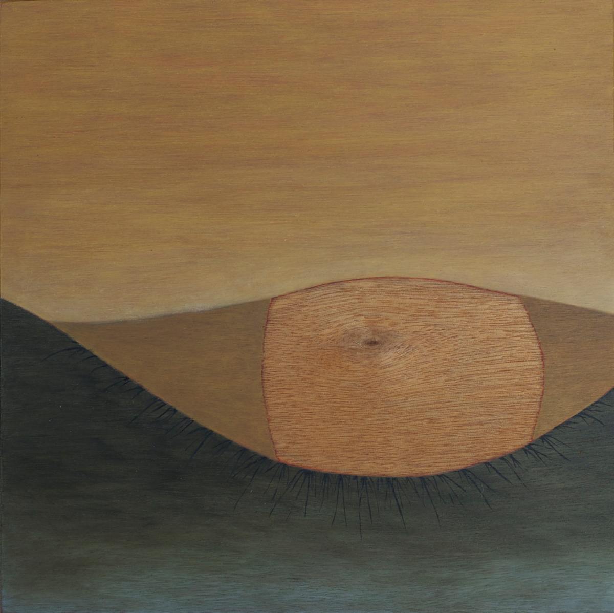Fallow by Arminée Chahbazian, Image 2.