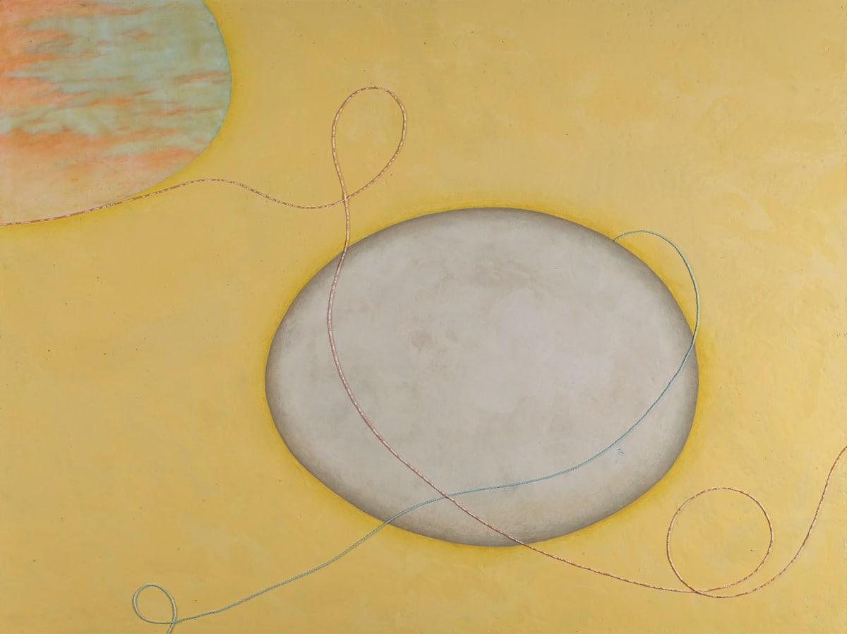 Planet Zenaida Macroura (mourning dove) by Arminée Chahbazian 