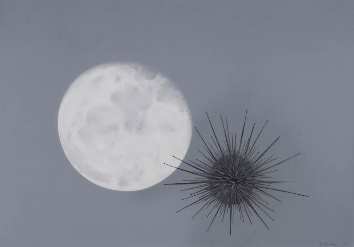 Tidal Impact by Arminée Chahbazian, Image 1.