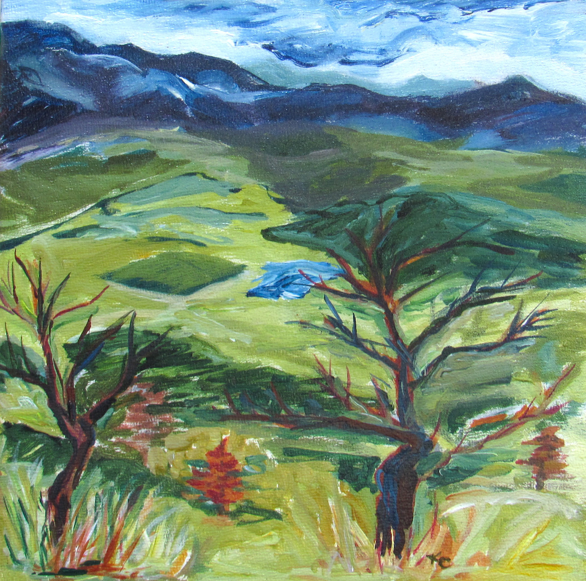 100 - Roxy Ann Hike by Katy Cauker 