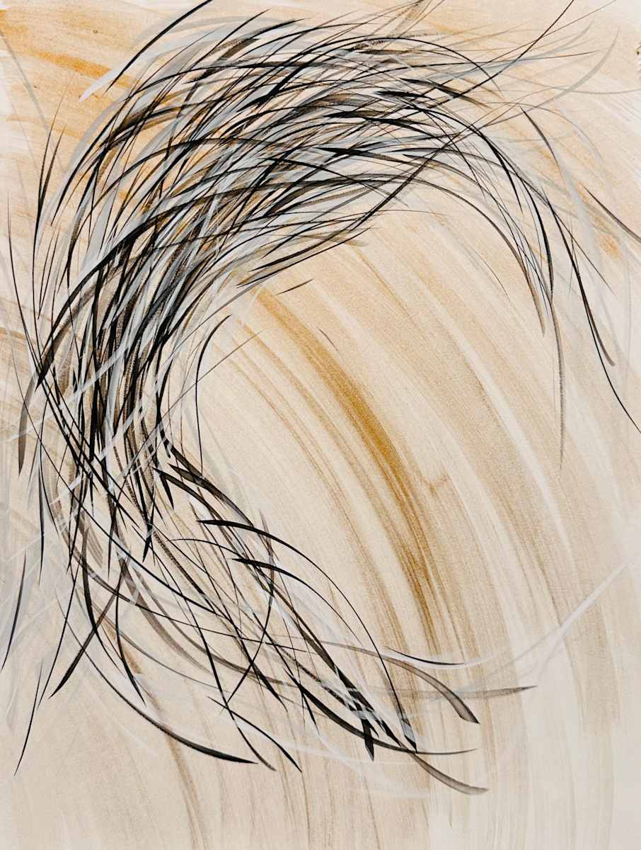 Dawn river(s), v. 8 by Lisa Blas 