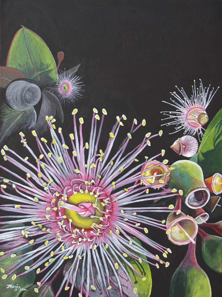 Eucalyptus by Jasmine O'Shea, Image 1.