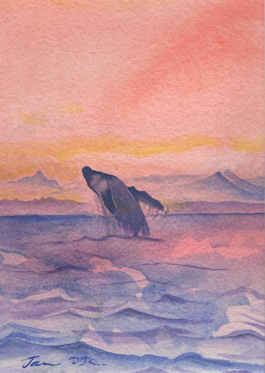 Peach Sunset Whale by Jasmine O'Shea 