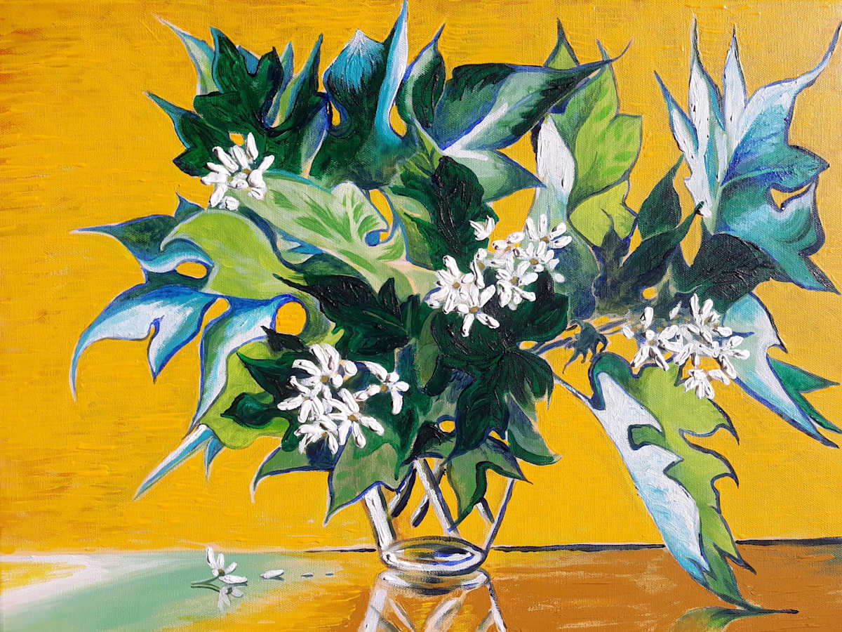 Tree Daisy by Jasmine O'Shea, Image 1.