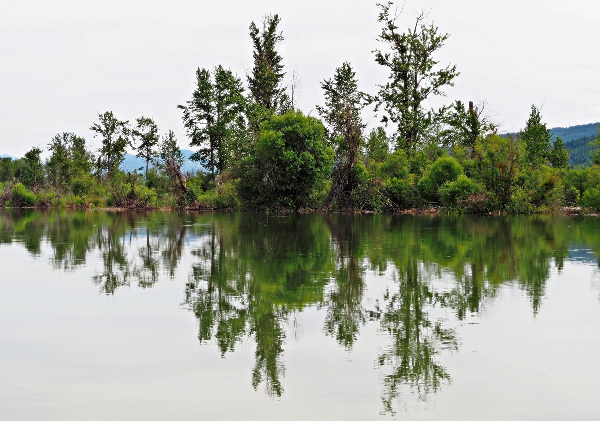 Columbia Valley Wetlands #4 - Paper edition #1 by Carol Gordon 