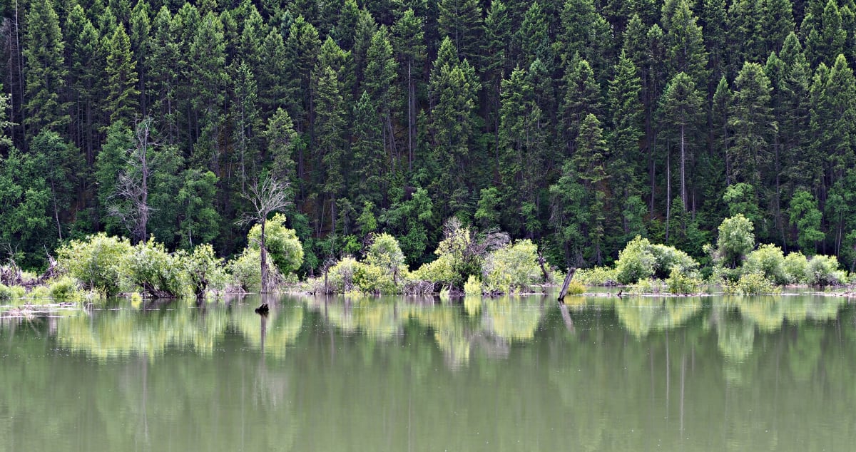 Columbia Valley Wetlands 3 - Canvas Edition #1