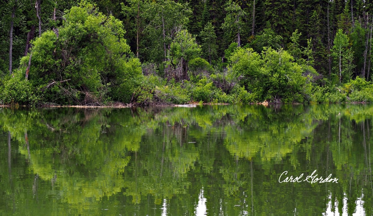 Columbia Valley Wetlands 1 - Canvas Edition #1 by Carol Gordon 