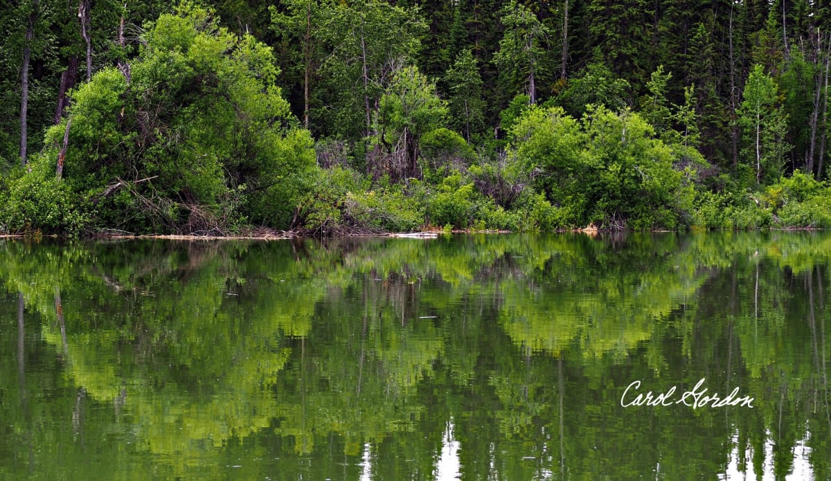 Columbia Valley Wetlands 2 - Acrylic Edition #1 by Carol Gordon 