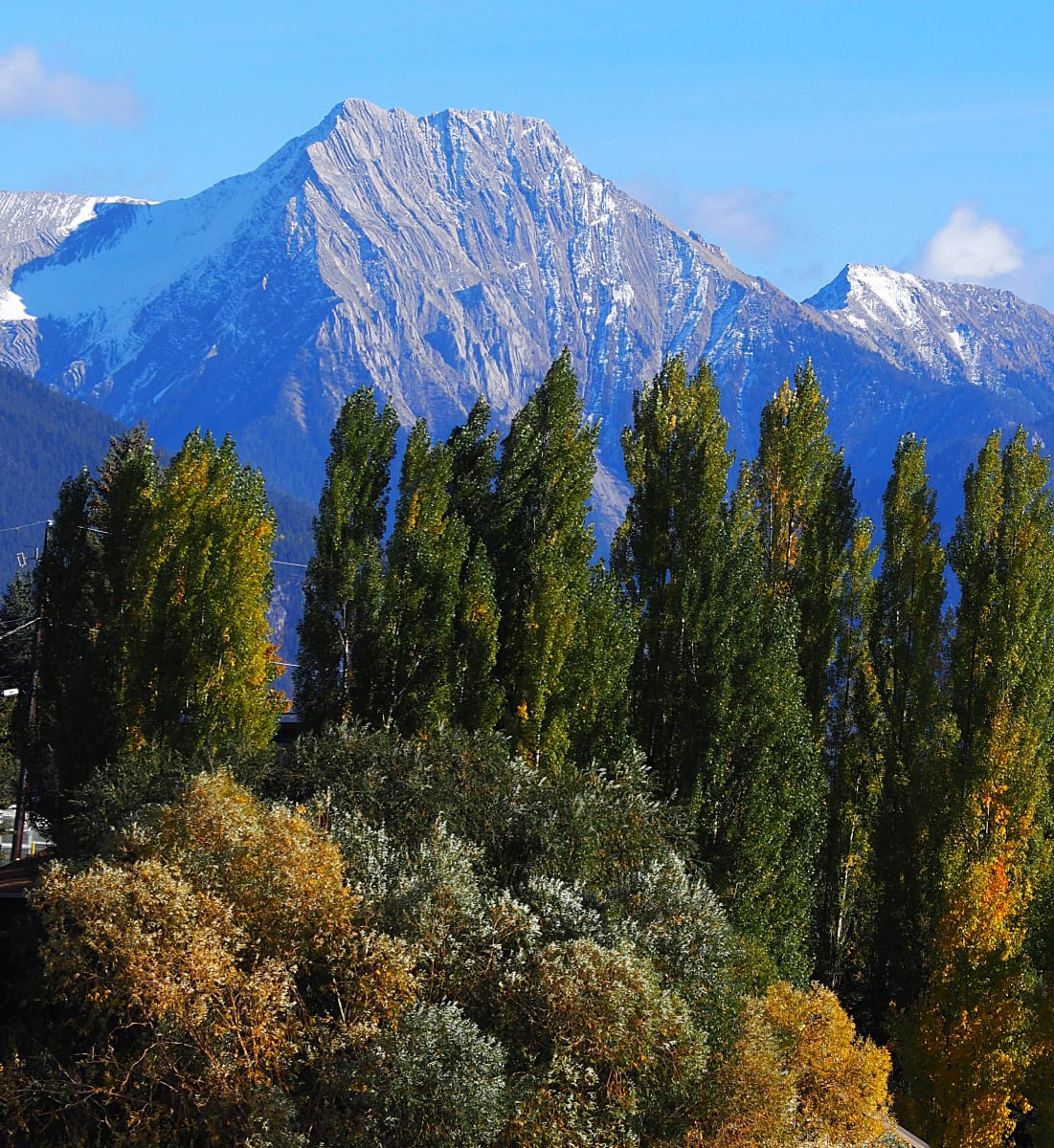 Chisel Peak in autumn by Carol Gordon 