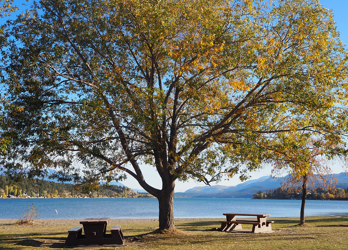 Lake Windermere on the shores of Athalmer, BC #2 by Carol Gordon 