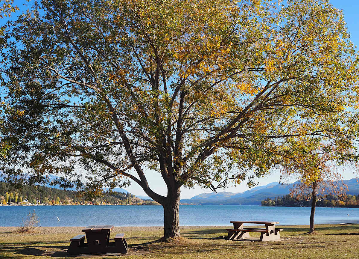 Lake Windermere on the shores of Athalmer, BC #2 by Carol Gordon, Image 1.