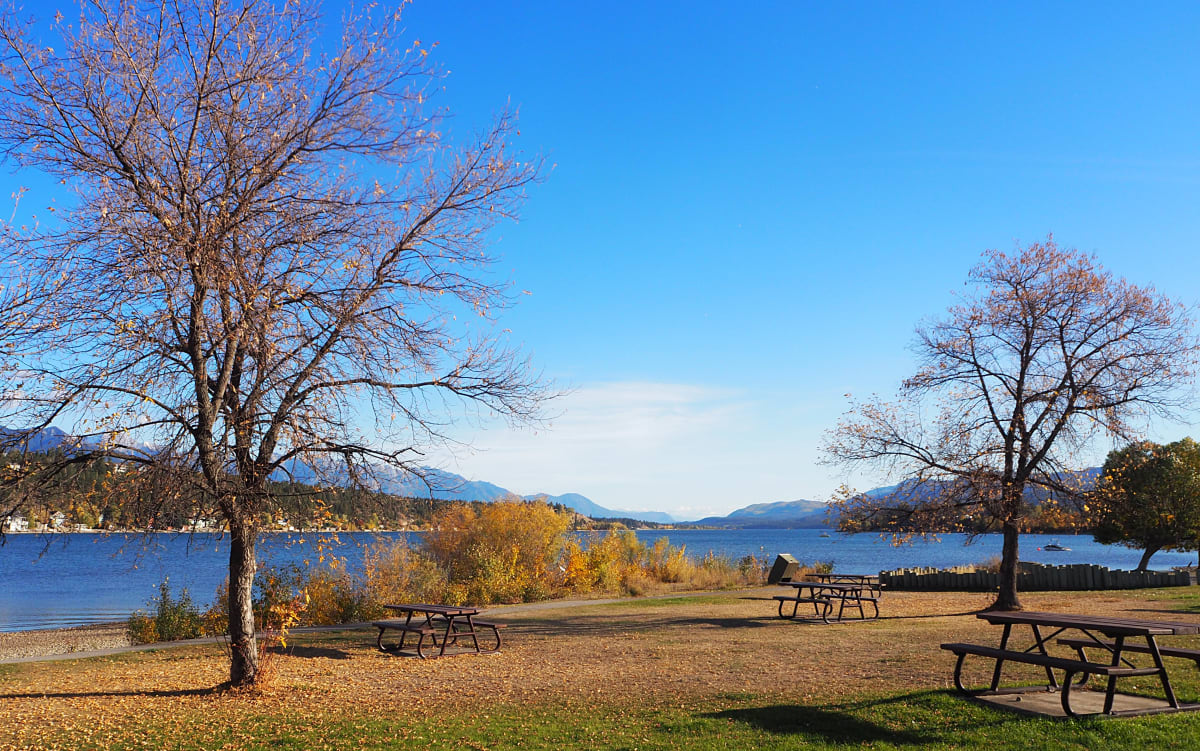 Lake Windermere on the shores of Athalmer, BC #1 by Carol Gordon 