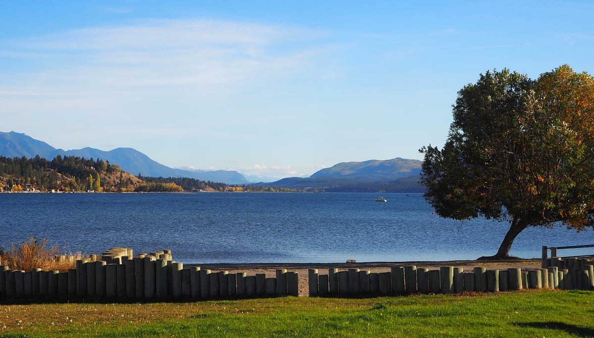 Lake Windermere on the shores of Athalmer, BC by Carol Gordon 