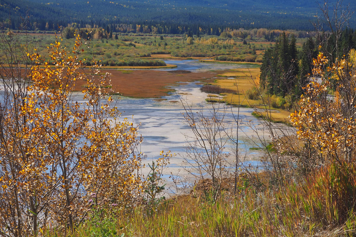 Vermillion Lakes, Banff, Alberta, Canada #1 by Carol Gordon 