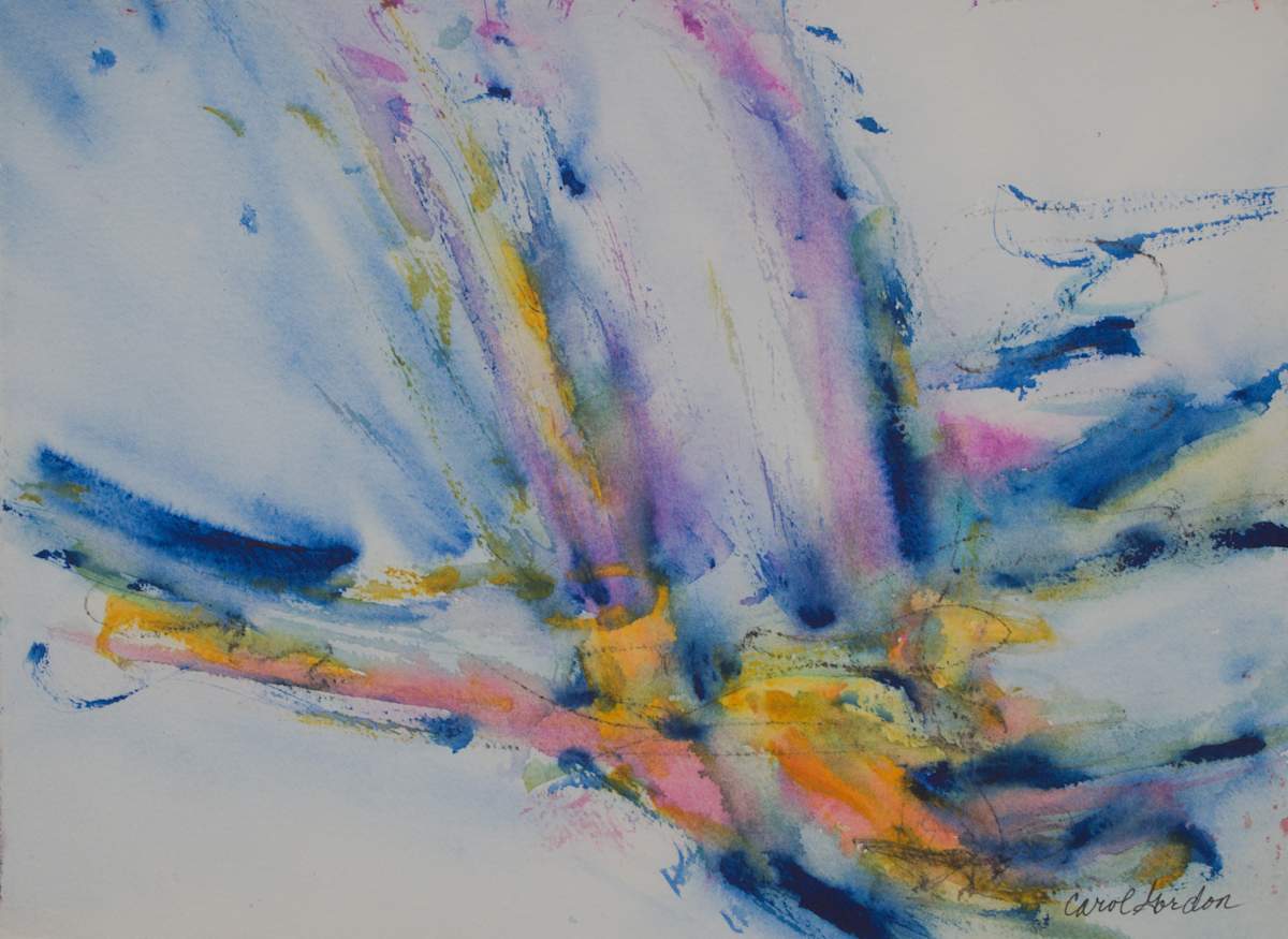Waterfall of Colour by Carol Gordon 