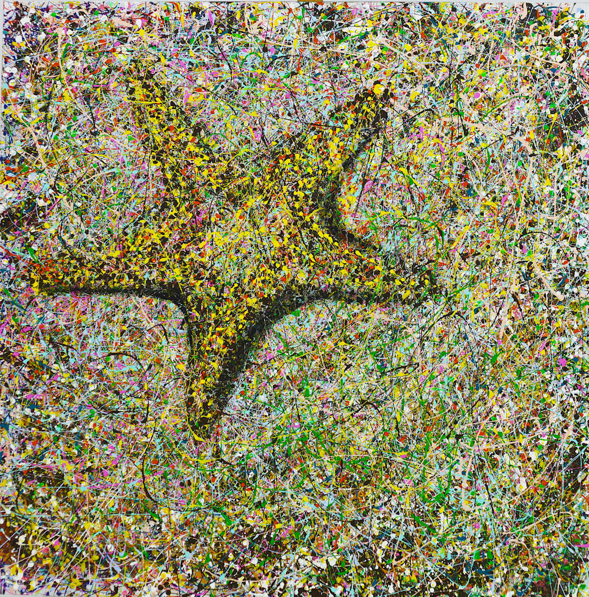 Star Resilience by Dr Lowly (Low Lee Yong) 