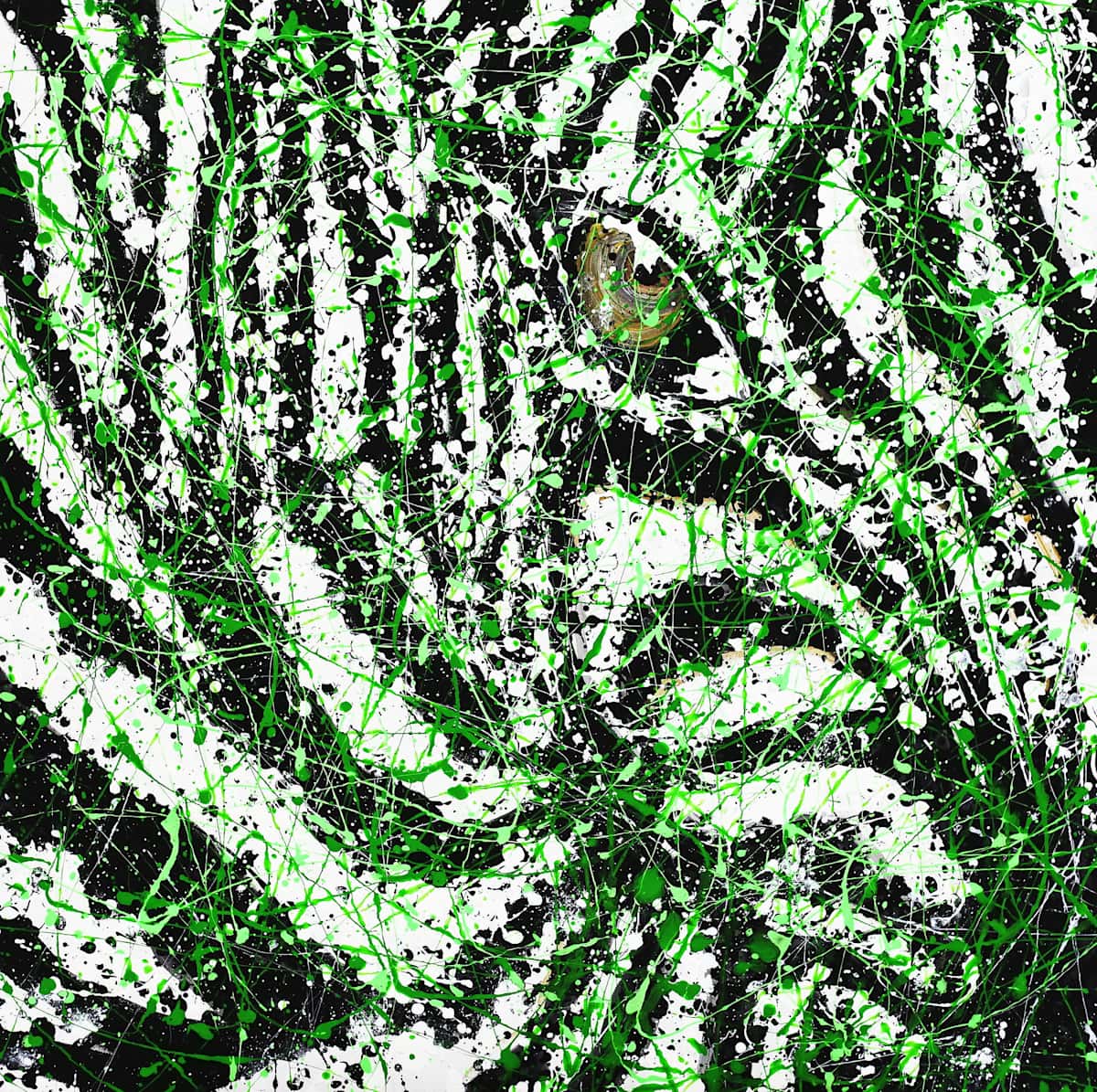 Stripped Stare by Dr Lowly (Low Lee Yong) 