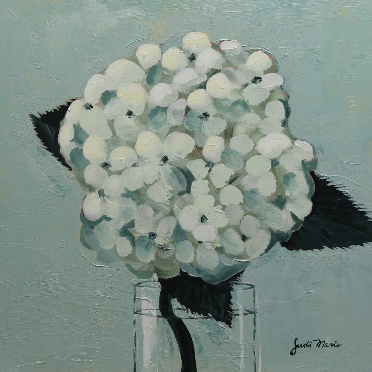 Hydrangea by Judi Marie 