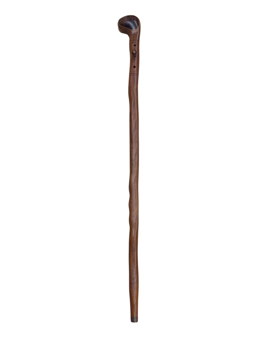 Walking Stick by Steve Madsen 
