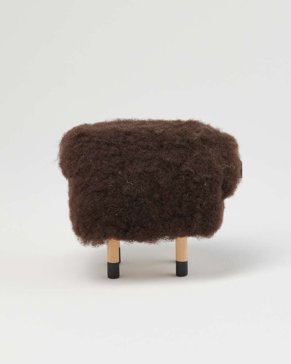 Black Sheep by Phil Geraci  Image: Photo credit: Alexis Oltmer