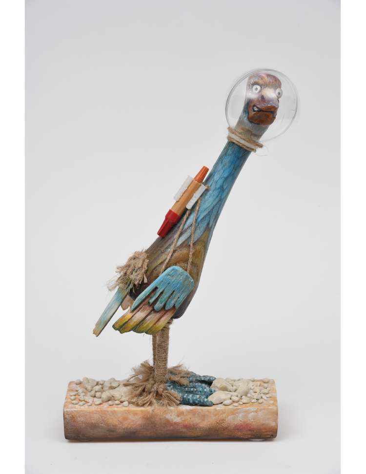 The dream of a flightless bird by Kevin O'Malley 