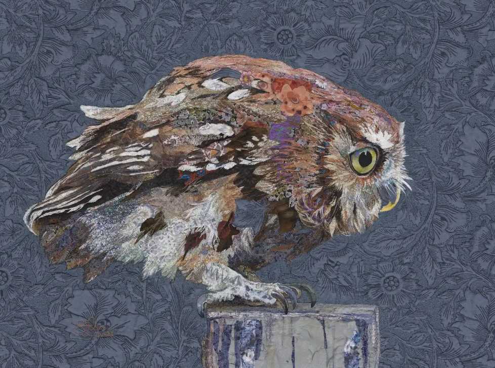 Owlet by Susan Fay Schauer 