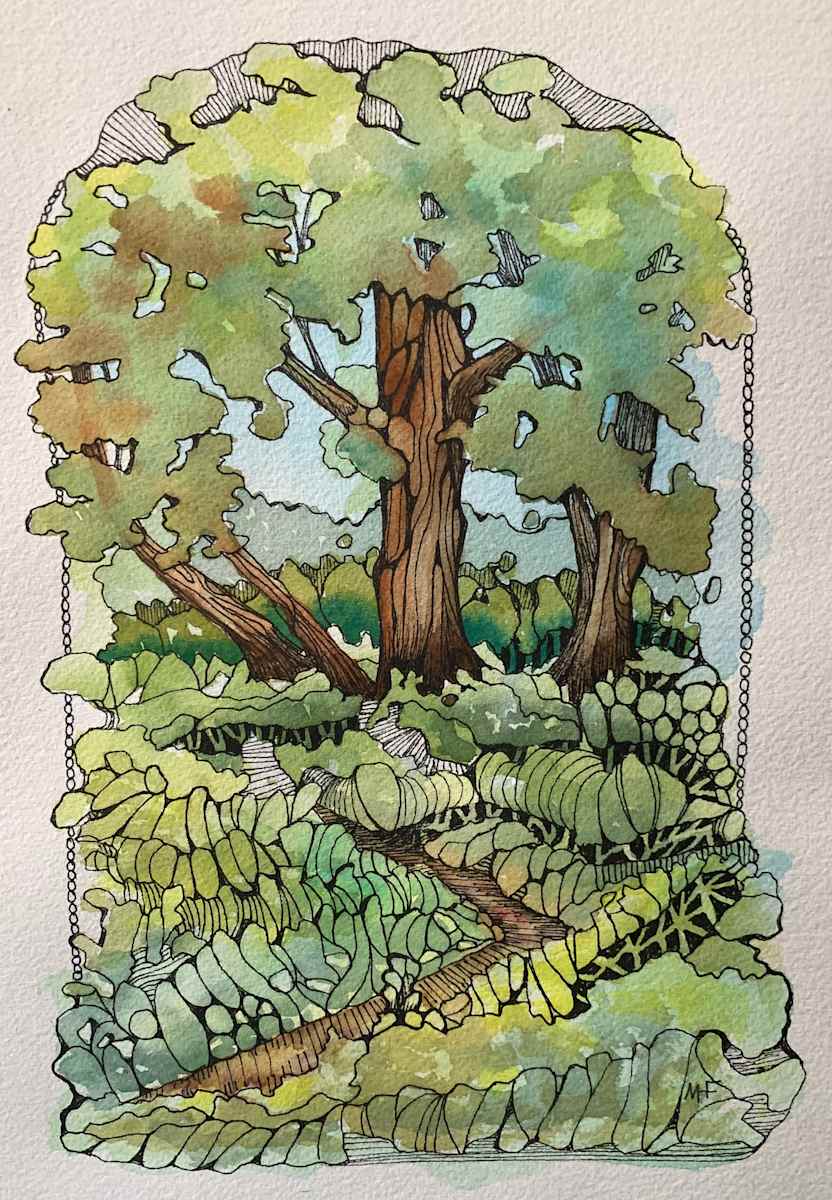 Forest Glen by Mary Ford 