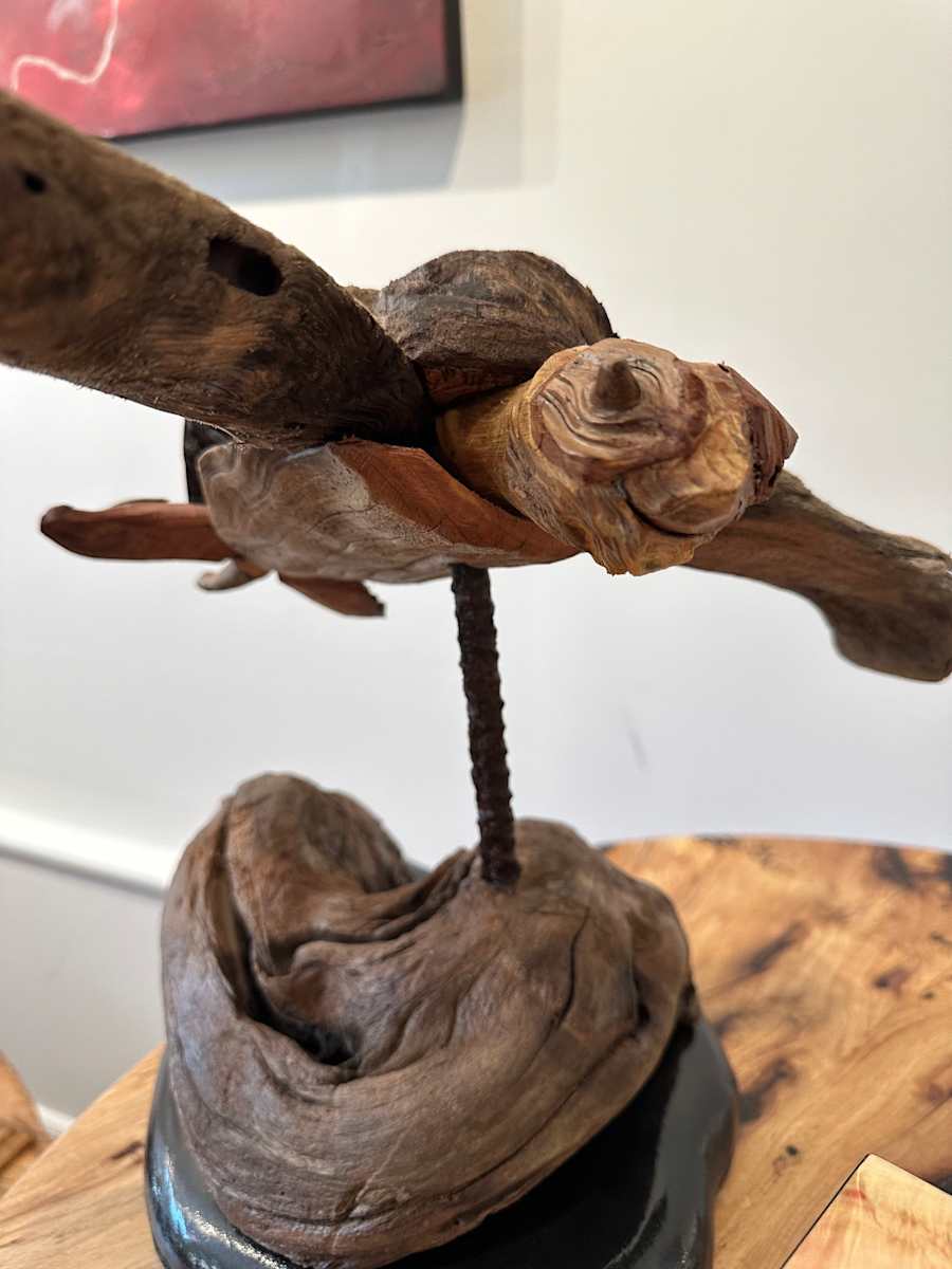 Turtle by Larry Ringgold 