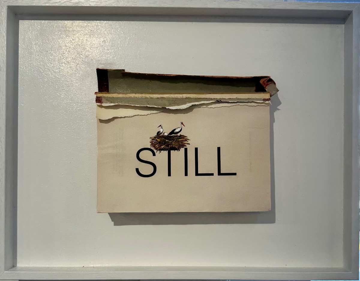 Still by Golsa Gochini, Image 1.