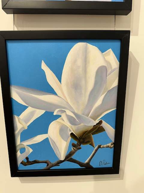 Magnolia Blossoms #8 by Frank DePietro 