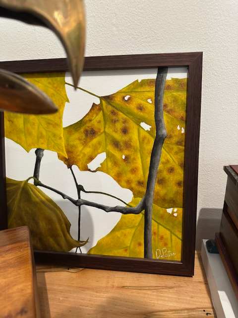 Sycamore Leaves 1 by Frank DePietro 