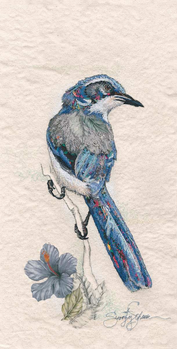 The Regal Scrub Jay by Susan Fay Schauer 