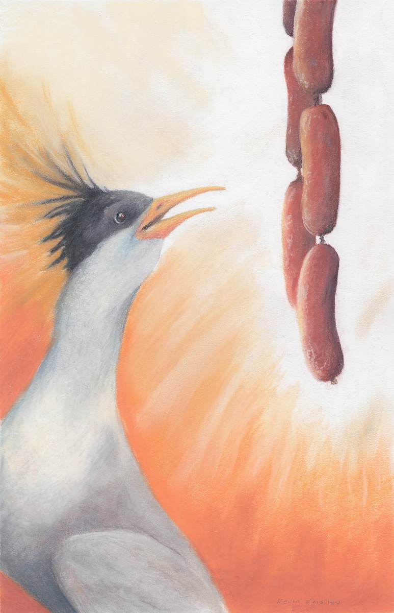 Tern for the Worst by Kevin O'Malley 