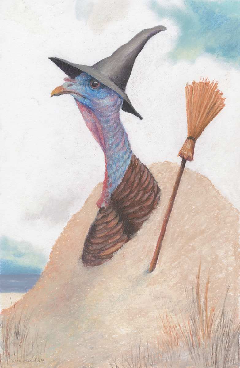 Turkey Sand Witch by Kevin O'Malley 