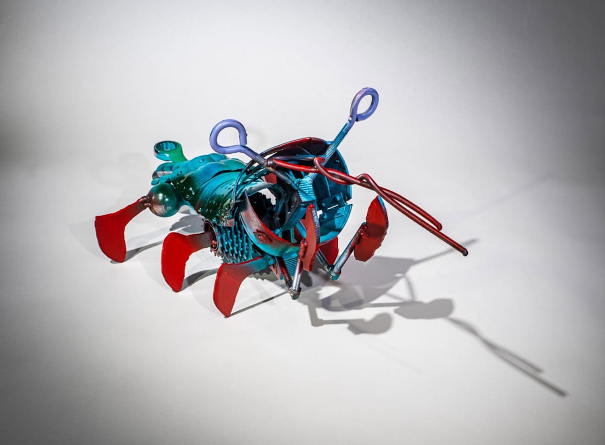 Armored Mantis Shrimp by Dave Dunn 