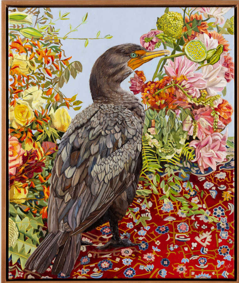 Tohopa - Double-crested Dormorant by Fiona Smith, Image 2.