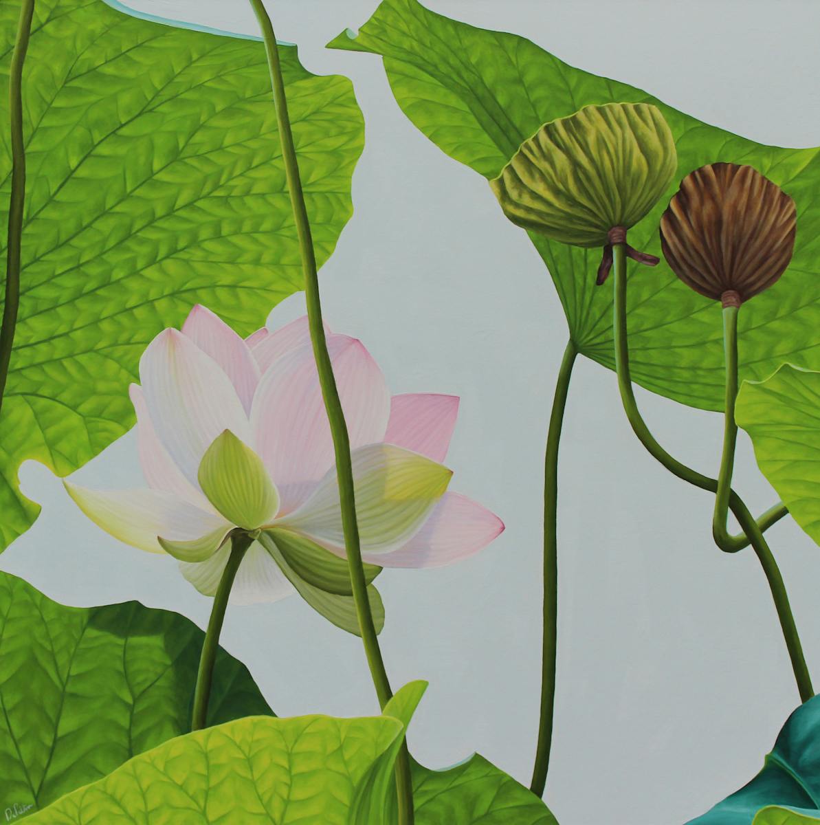 Lotus Number Sixty Five by Frank DePietro 