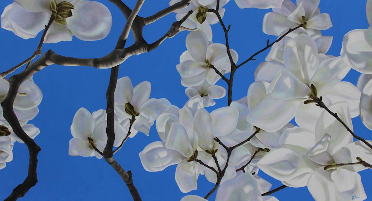 Magnolia Blossoms Number Six by Frank DePietro 