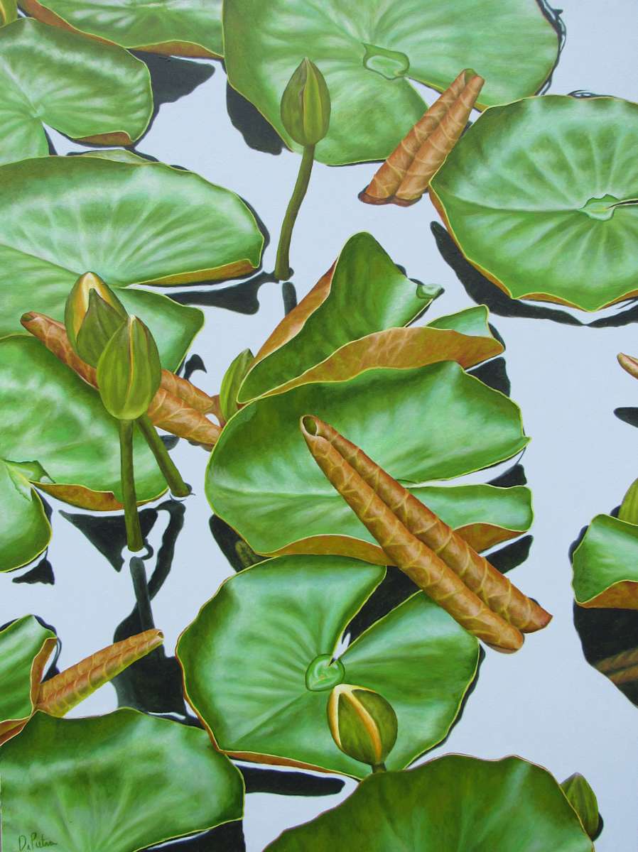 Water Lilies #48 by Frank DePietro 