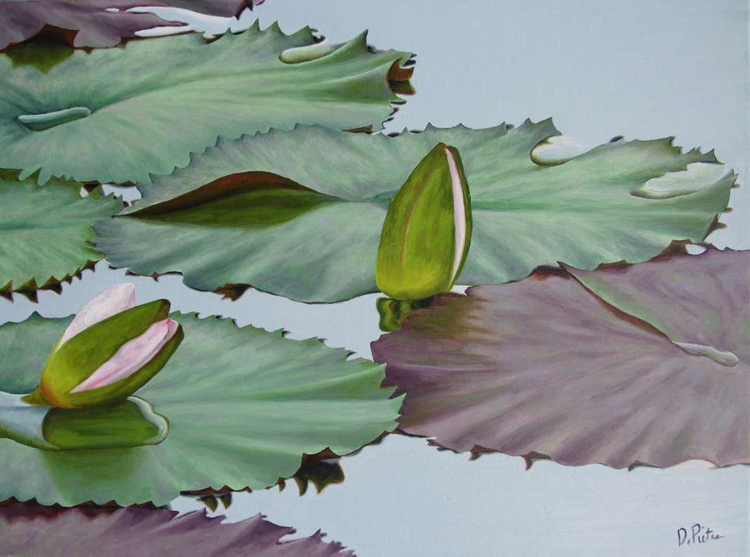 Water Lilies #48 by Frank DePietro 