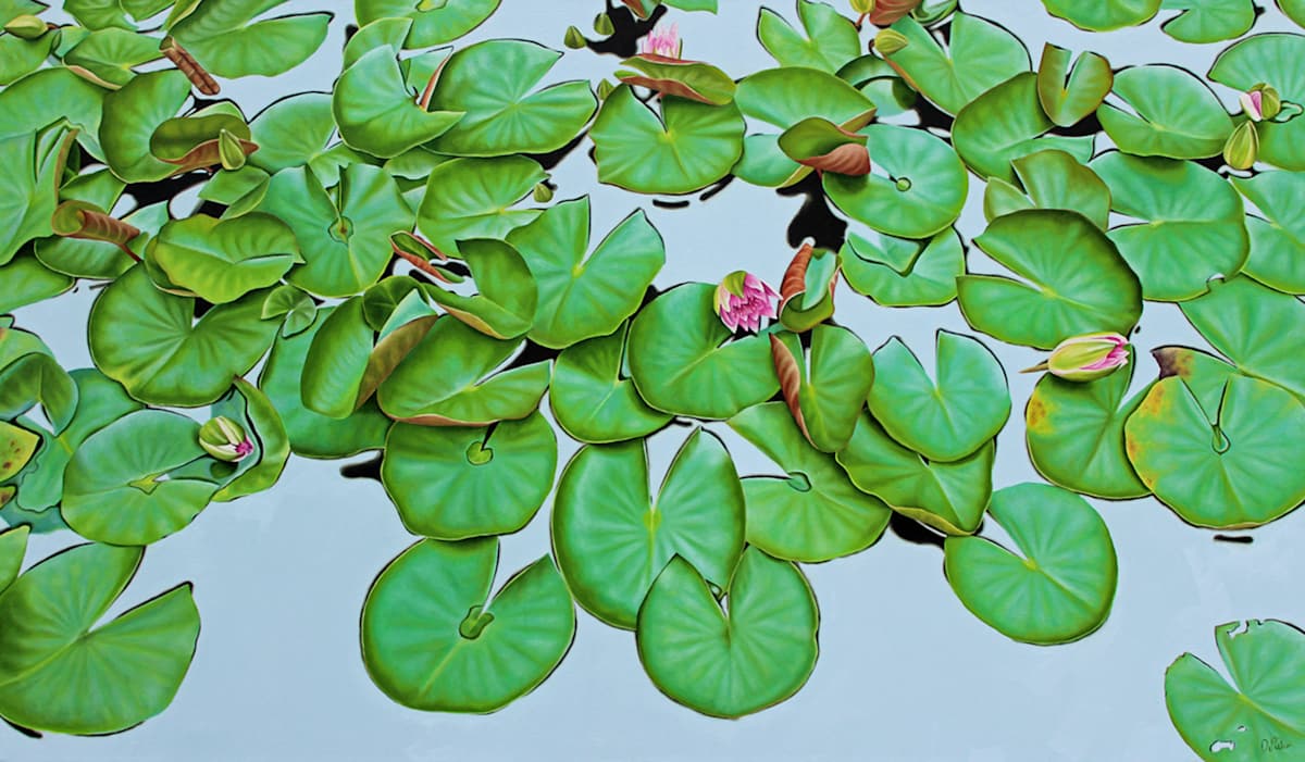 Water Lilies #63 by Frank DePietro 