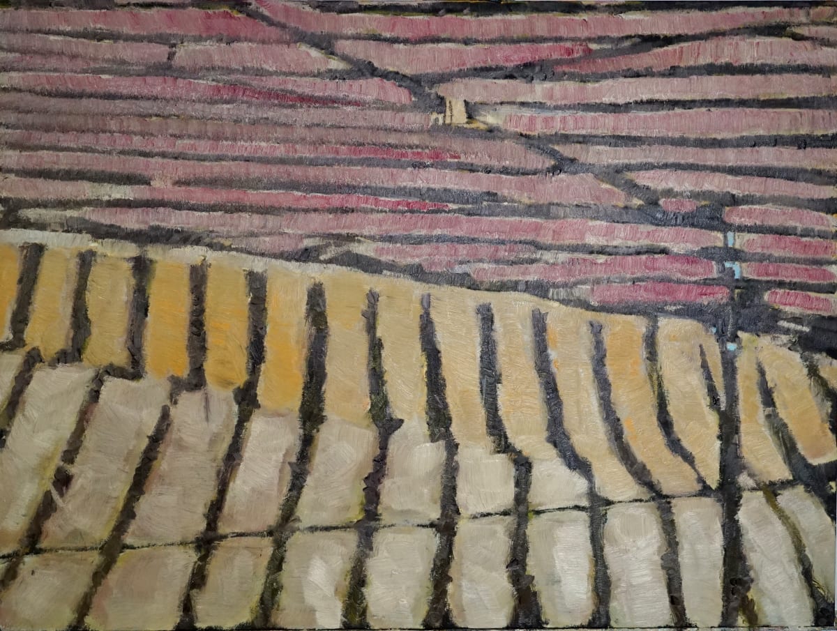 Paysage de vignes by CHRISTOPH MUELLER 