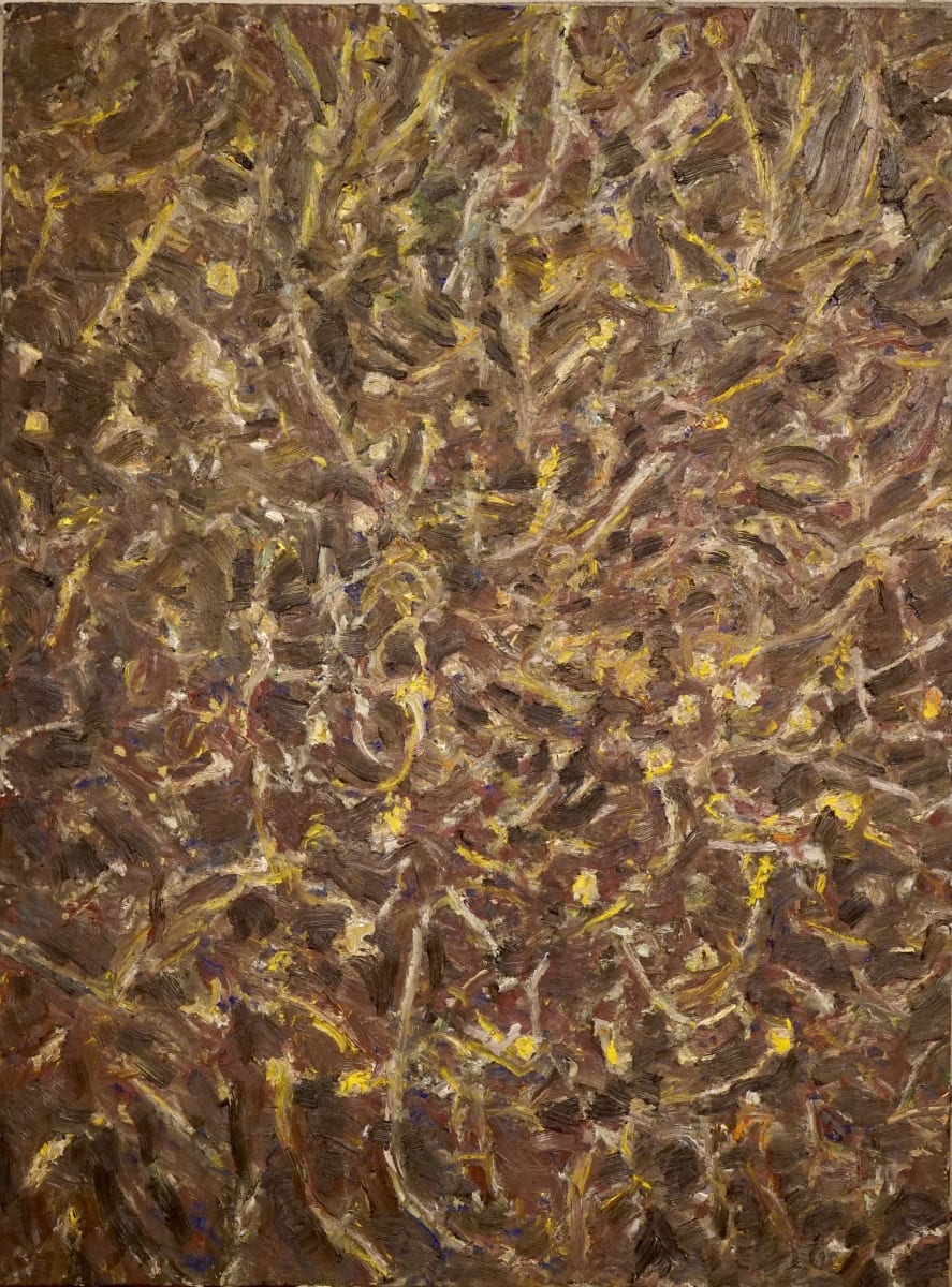 Outback by Christoph Müller 