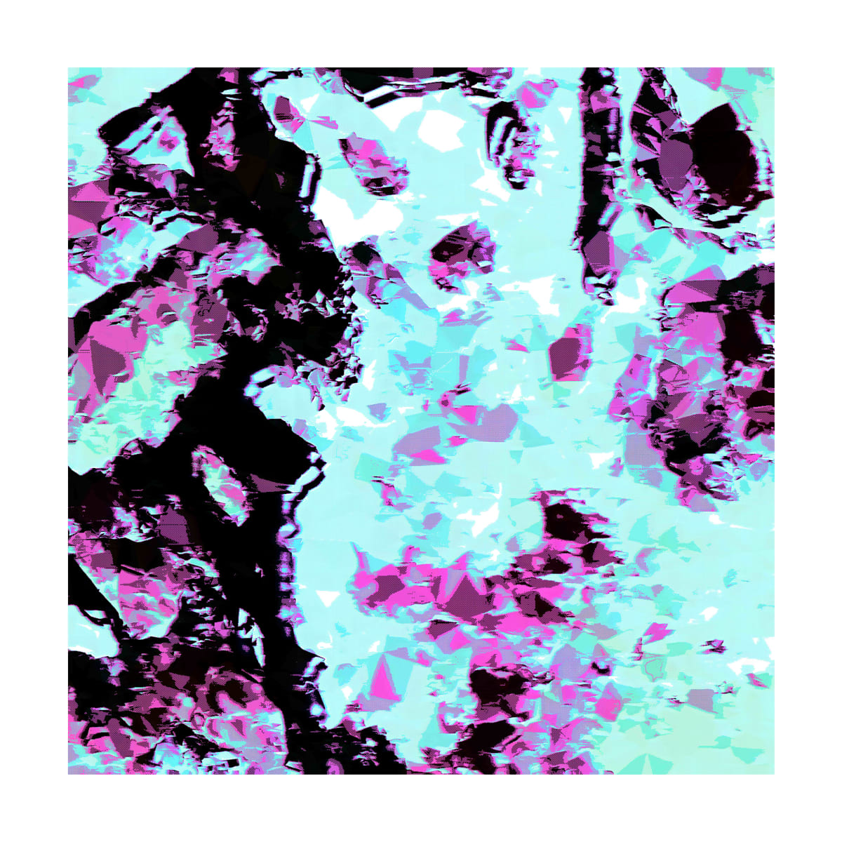 Funky Flowers, Flowers Edition Series  No. 82 by CHRISTOPH MUELLER 