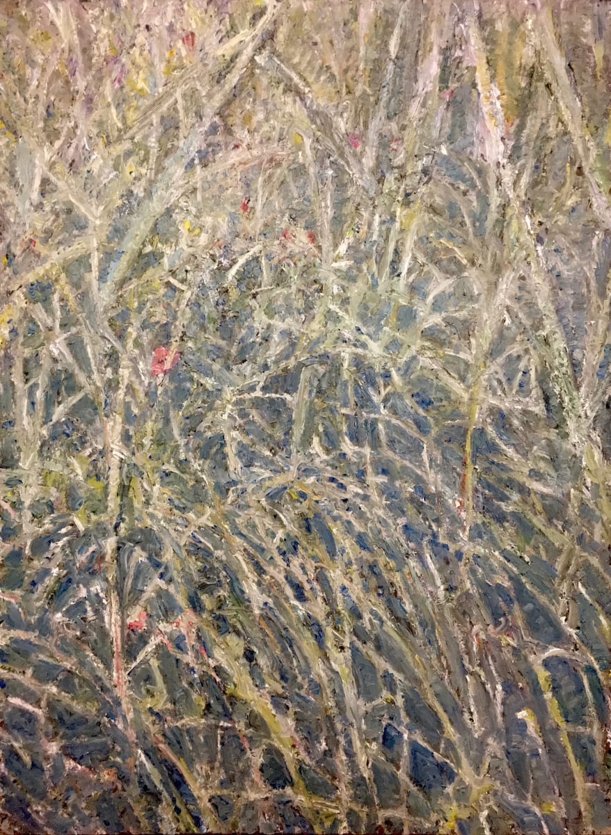 Meadow by Christoph Müller 