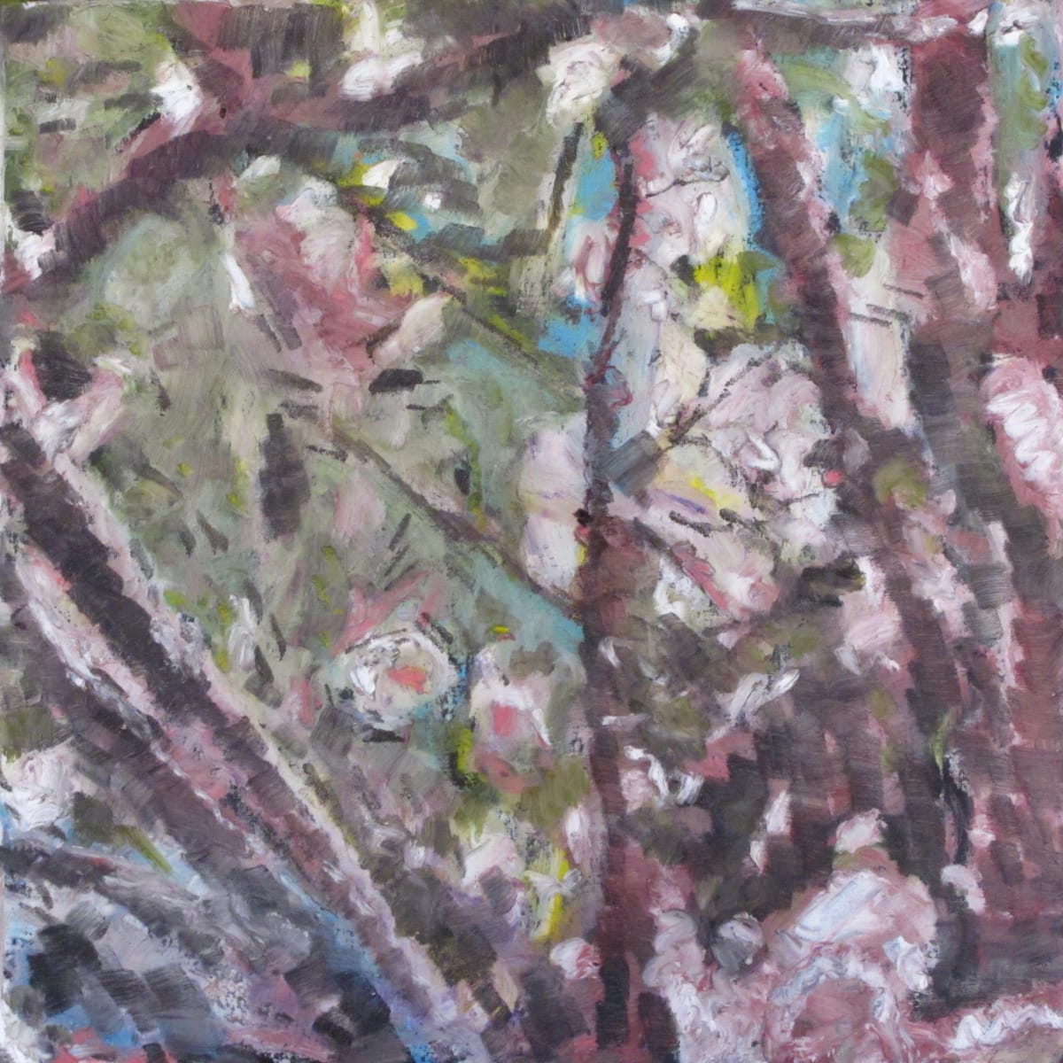 Blossom tree by Christoph Müller, Image 1.