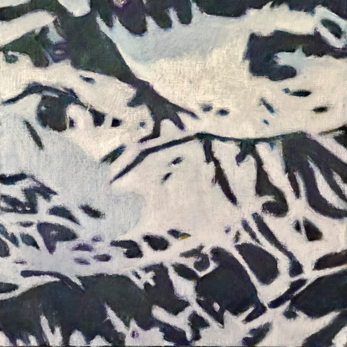 Pardatschas by Christoph Müller 