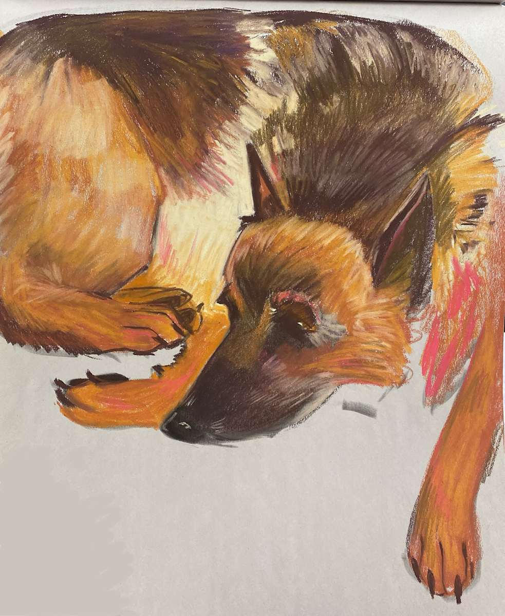 williams, pastel, 2024, shepherd by Bennie Williams, Image 1.